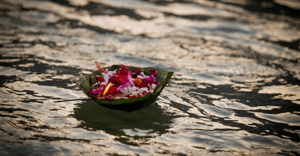 ganga-river-flowers-floating-leaves