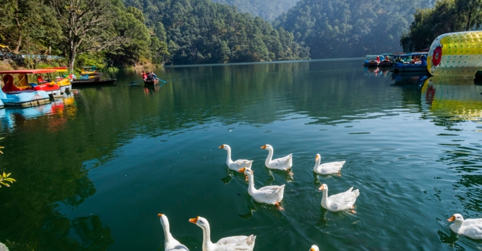 Various,Views,Of,Sattal,Lake,,Uttarakhand