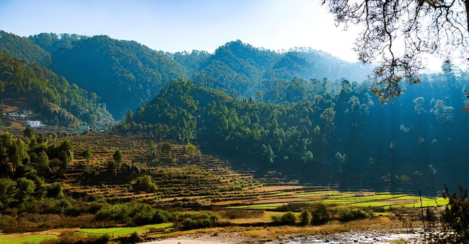 beautiful-terrace-farms-himalaya-ranikhet-uttarakhand-600nw-2453581555