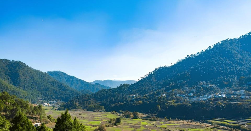 beautiful-terrace-farms-himalaya-ranikhet-uttarakhand-600nw-2453581569