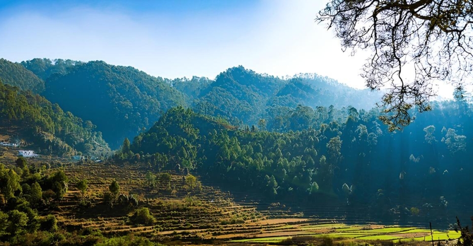 beautiful-terrace-farms-himalaya-ranikhet-uttarakhand