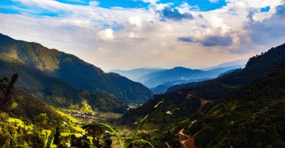 chaukori-green-valleys-mountains