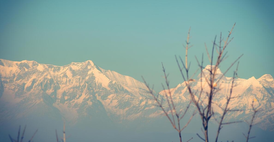 chaukori-himalayan-peaks-branches