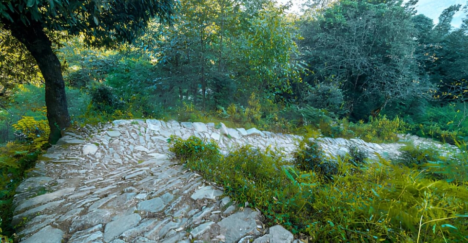 chopta-trek-stone-path-forest