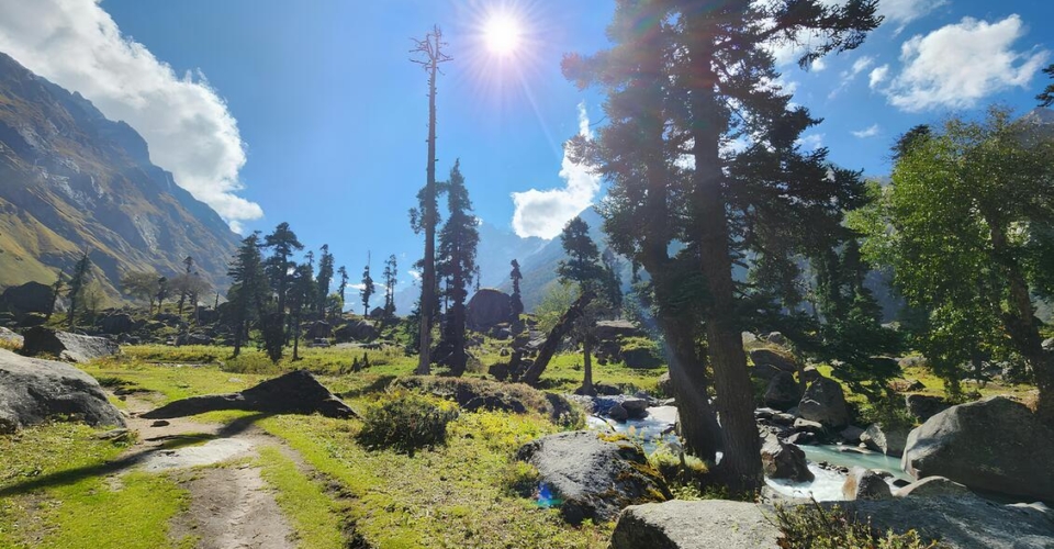 har-ki-dun-forest-river-sunlight