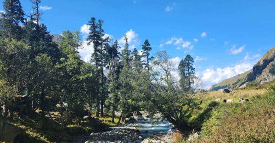 har-ki-dun-river-forest-landscape