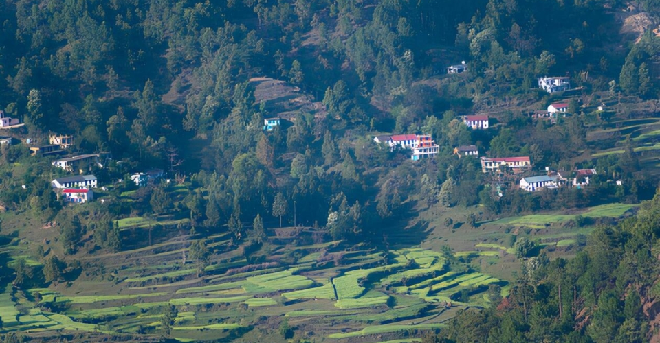 kausani-terraced-fields-himalayan-village-houses