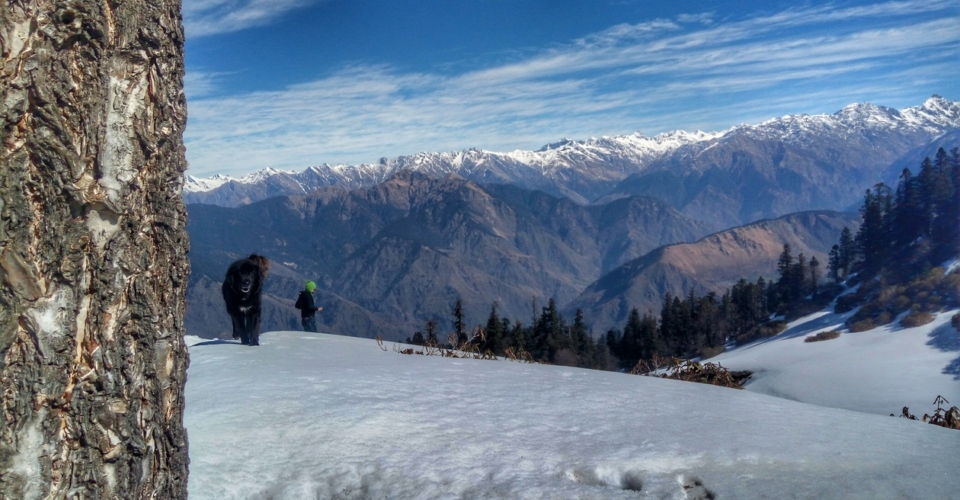 kedarkantha-trekking-trail