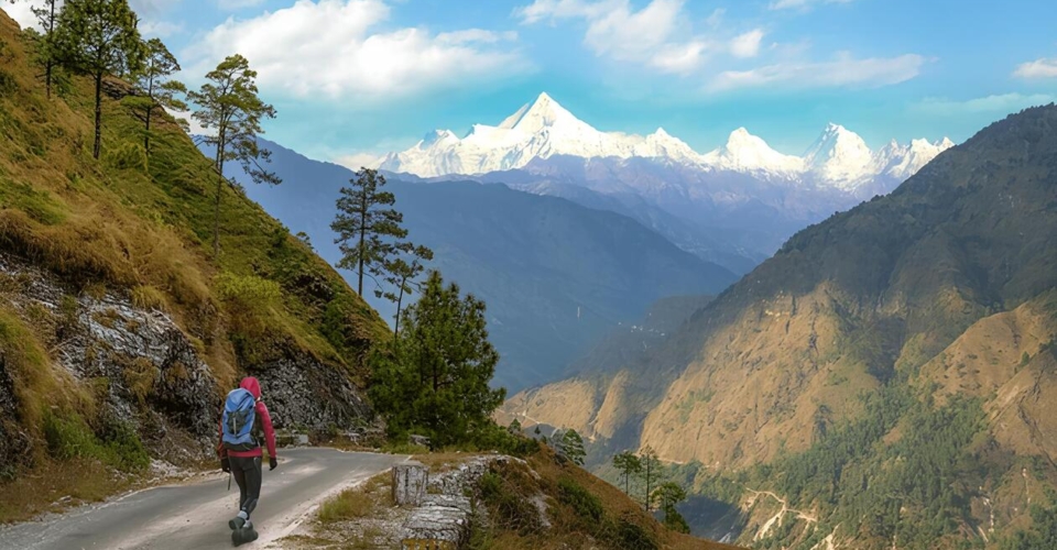 male-tourist-backpacker-walk-through-scenic