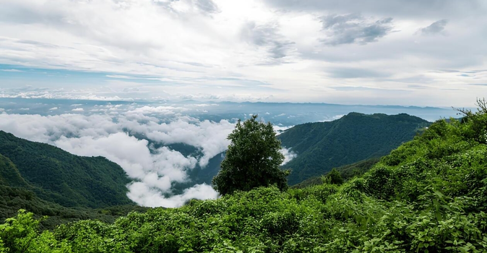 mussoorie-cloud-valley-himalayan-landscape