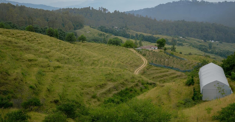 orchard-ranikhet